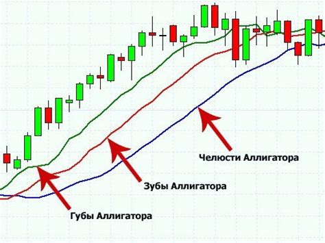 Разнообразие торговых инструментов