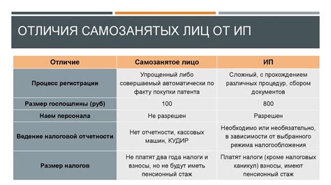 Разнообразные возможности ИП: многогранность и гибкость