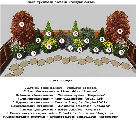 Разработайте план посадки растений