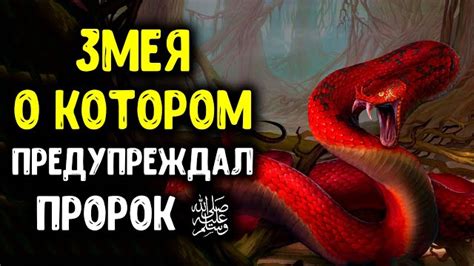 Разрешено ли убивать змею в исламе?