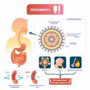 Ранняя диагностика ротавируса у детей