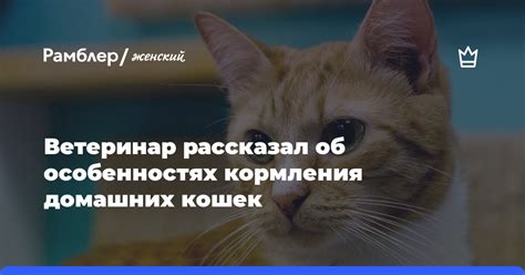 Раскрываем правду об особенностях кормления