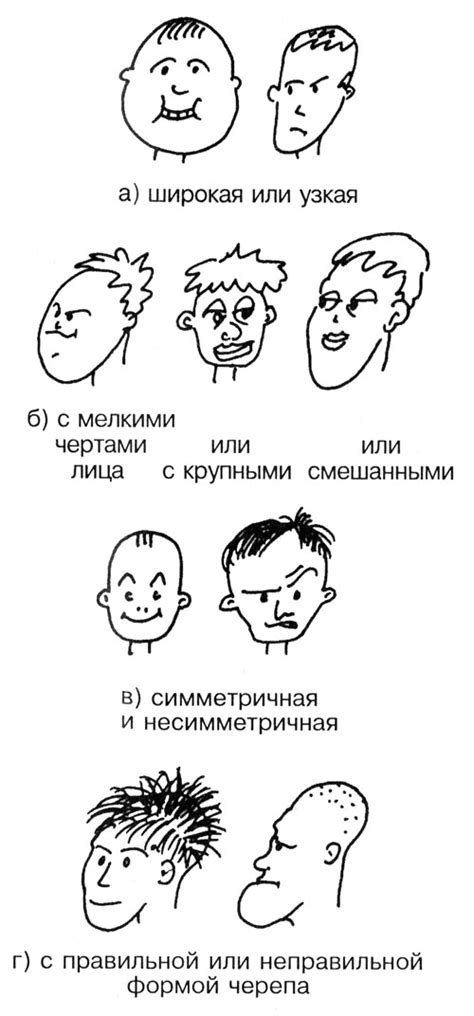 Распределение главных черт лица