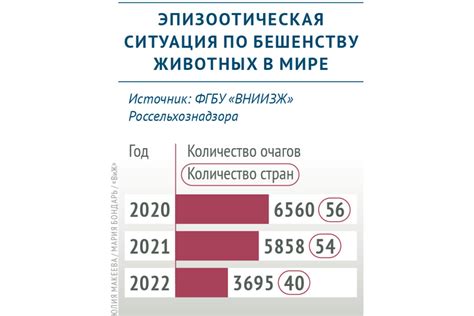 Распространение бешенства в животном мире