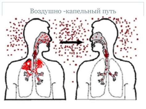 Распространение кори во взрослой популяции