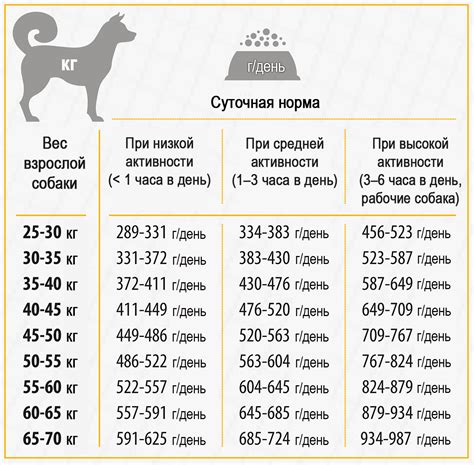 Распространенность и популярность сухого корма