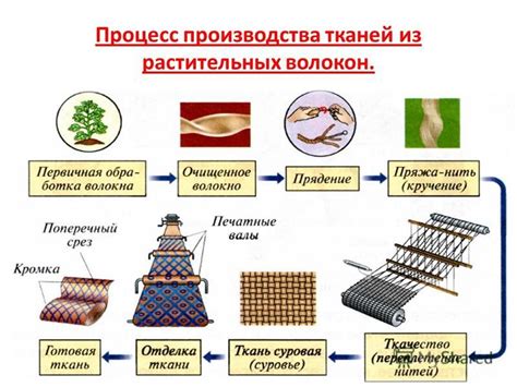 Растительные волокна как основа для производства экологически дружественной бумаги