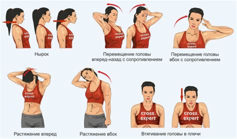 Растяжка и укрепление мышц шеи