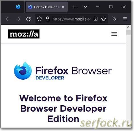 Расширения и плагины браузера Mozilla Firefox