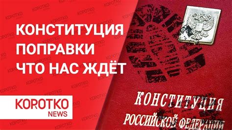 Реакция общества на новую Конституцию