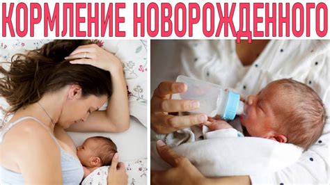 Регулярное кормление новорожденного