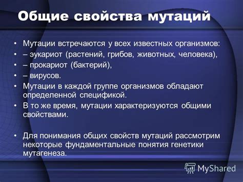 Редкость или эффект мутации: почему зеленые тыквы встречаются реже?