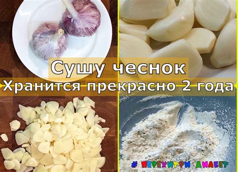 Режимы сушки чеснока