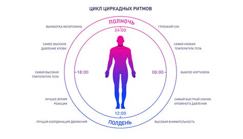 Режим и ритм сна