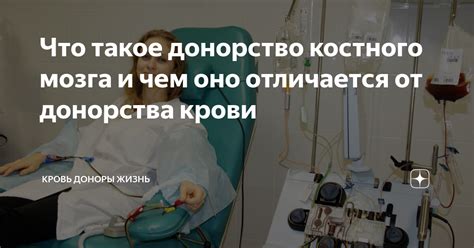 Результаты и польза от донорства костного мозга: что говорят исследования