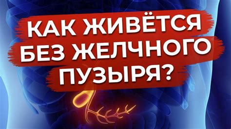 Рекомендации для тех, кто голодает без желчного пузыря