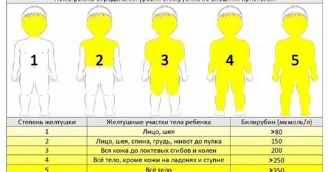 Рекомендации после желтухи