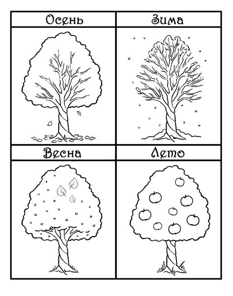 Рекомендации по окраске пола в разное время года