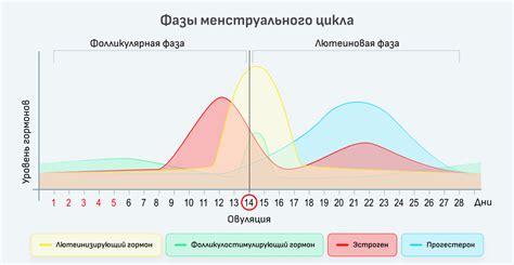 Рекомендации по преодолению судорог во время менструации