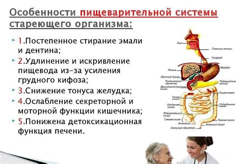 Рекомендации по приему железа при раке