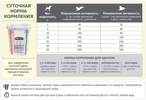 Рекомендации по размачиванию сухого корма для собак