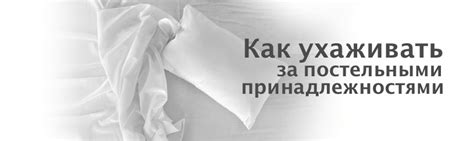 Рекомендации по стирке и уходу за котом