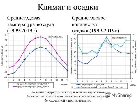 Рекомендации по температурному режиму и влажности воздуха