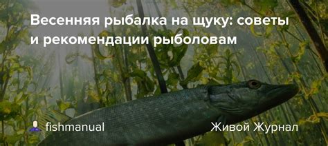 Рекомендации рыболовам: как действовать при сильном ветре