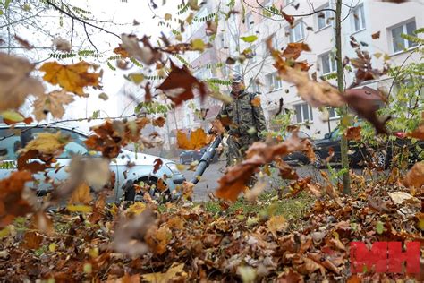 Решение проблемы уборки листвы в городе