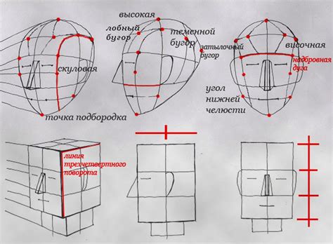 Рисование круглой головы Йлера