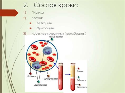 Родительская группа крови и ее значение