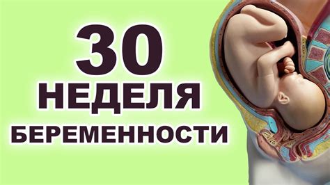 Родить на 30 неделе беременности: перспективы и возможности