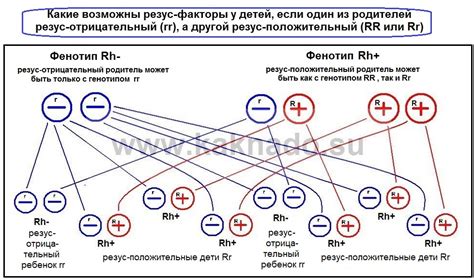 Родственные связи и генетика