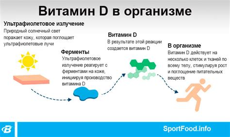 Роль витамина Д в организме пожилых людей