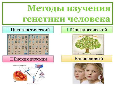 Роль генетики в формировании талантов