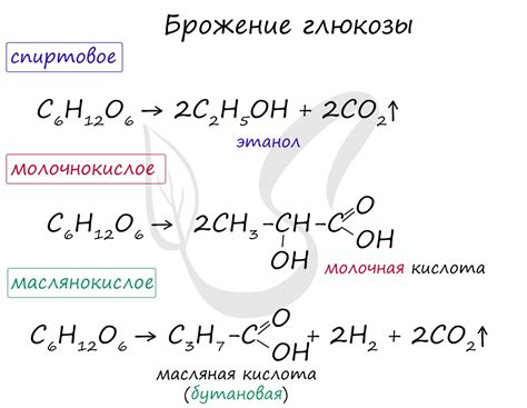 Роль глюкозы в процессе брожения