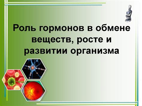 Роль гормонов в развитии и росте миомы