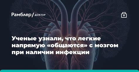 Роль кофеиновых составляющих в вызывании зуда