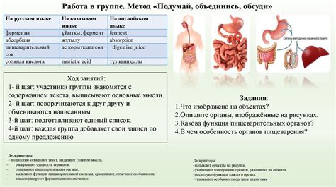 Роль молока в детском пищеварении