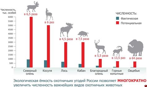 Роль профессиональных охотников в регулировании популяции