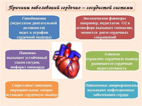 Роль психологического состояния в поддержании здорового сердечно-сосудистого системы