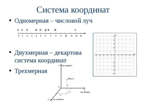 Роль системы координат в изучении движения