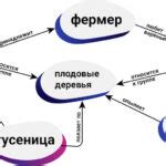 Роль токенизации в обработке естественного языка