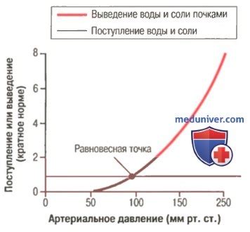 Роль флаванолов в снижении артериального давления