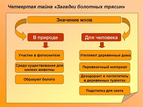 Роль шрама в жизни героя