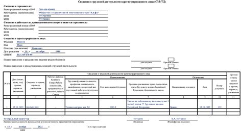 СЗВ: основные понятия и сроки сдачи