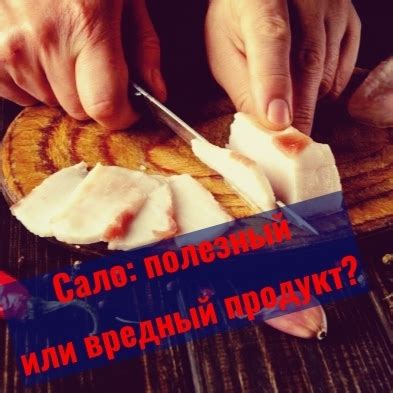 Сало: источник жиров или полезный продукт?