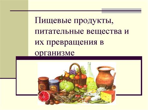 Самолет и пищевые продукты