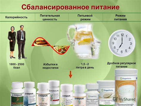 Сбалансированное питание и режим питания