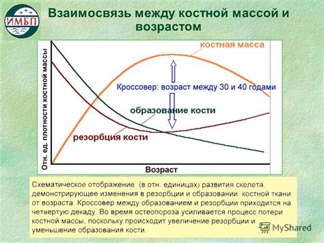 Связь между возрастом и ухудшением костной плотности